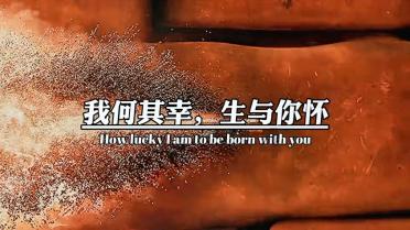 城阳公主作为李世民的掌上明珠,她的结局如何?——知识星球平台,深度分享学习交流